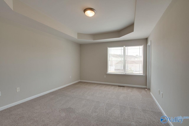 spare room featuring light carpet and a tray ceiling