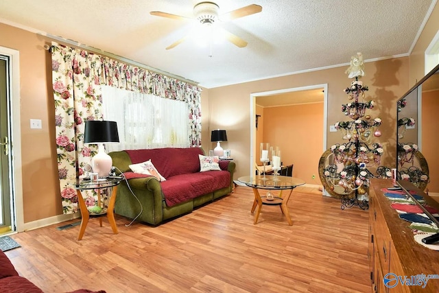 living room with crown molding, light hardwood / wood-style flooring, and a textured ceiling