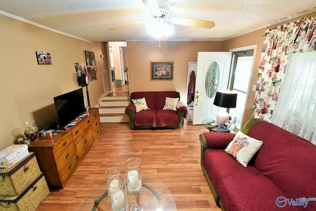 living room with ceiling fan, crown molding, light hardwood / wood-style floors, and a textured ceiling