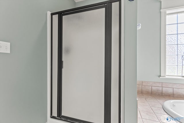 bathroom with a shower stall and a wealth of natural light