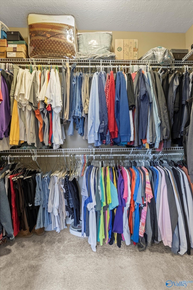 walk in closet with carpet flooring