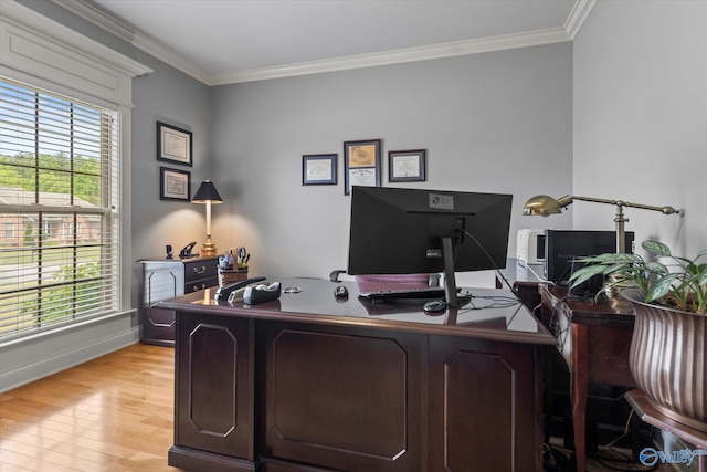 office space with crown molding, light wood-style flooring, and a healthy amount of sunlight