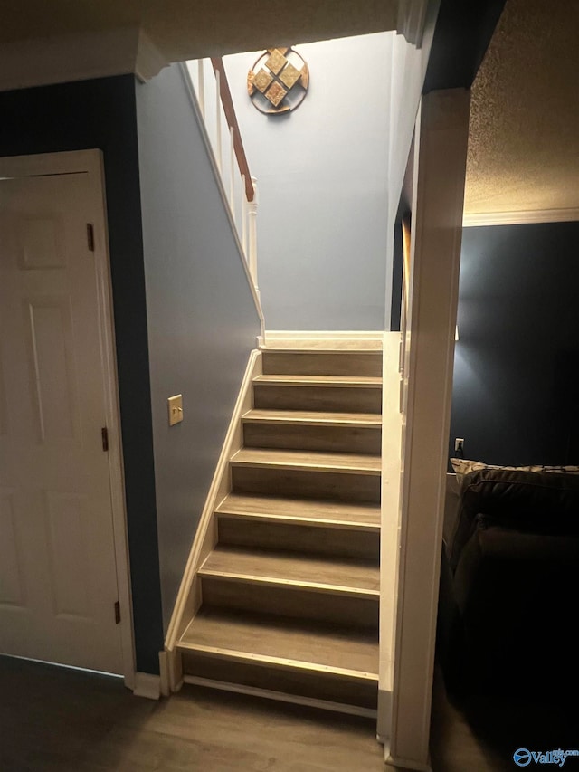 stairs featuring wood finished floors