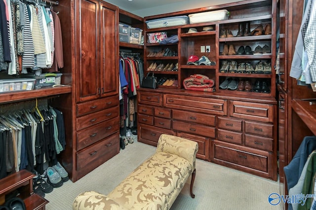 spacious closet with light carpet