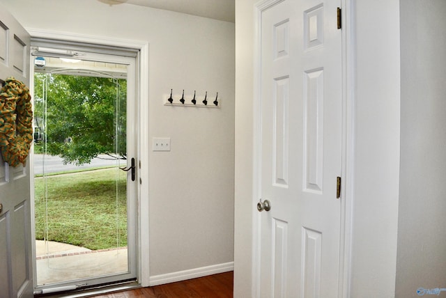 entryway with dark wood-type flooring