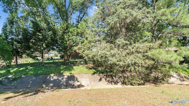 11112 Memorial Pkwy S Unit N3, Huntsville, AL 35803 - view of yard