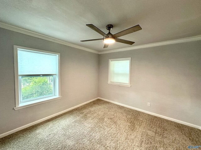 basement with dark hardwood / wood-style floors and crown molding