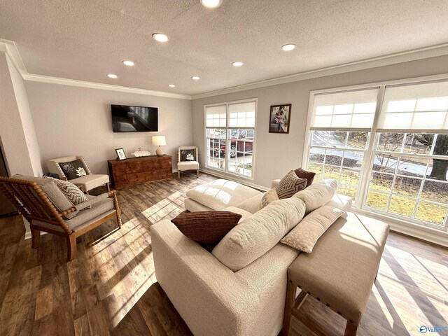 kitchen with white cabinets, stainless steel appliances, dark hardwood / wood-style floors, and ornamental molding