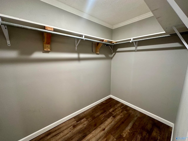 spacious closet featuring wood-type flooring