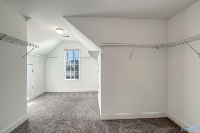 spacious closet with carpet floors and vaulted ceiling