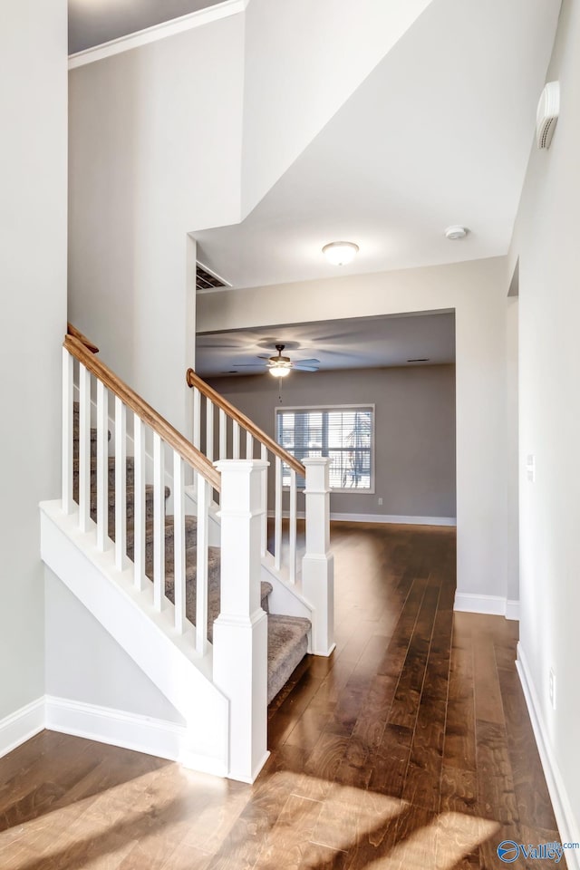 staircase featuring hardwood / wood-style flooring, ceiling fan, and ornamental molding