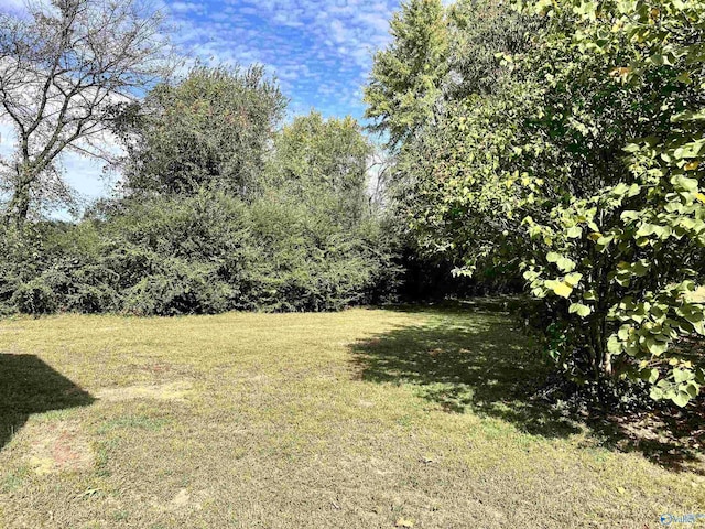 2061 Lindsay Ln S, Athens, AL 35613 - view of yard