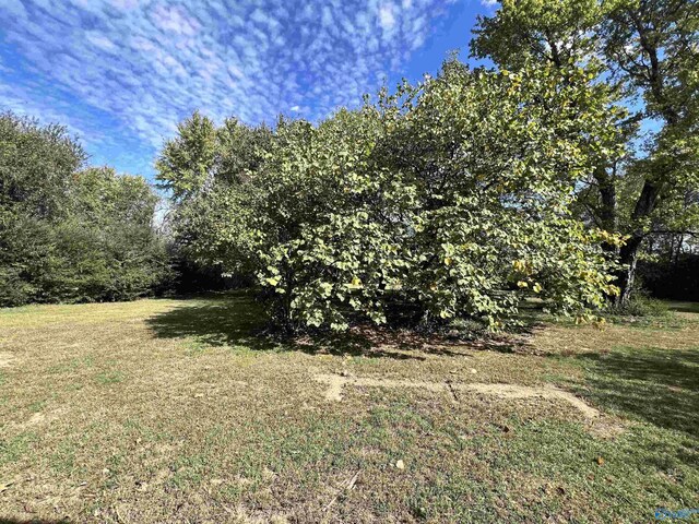 2061 Lindsay Ln S, Athens, AL 35613 - view of yard