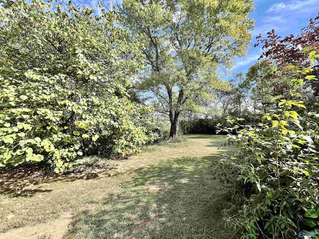 2061 Lindsay Ln S, Athens, AL 35613 - view of yard