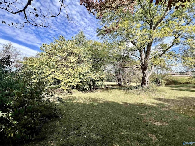 2061 Lindsay Ln S, Athens, AL 35613 - view of yard