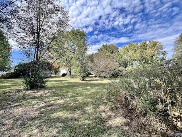 2061 Lindsay Ln S, Athens, AL 35613 - view of yard