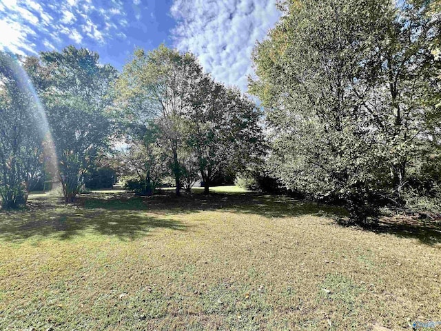 2061 Lindsay Ln S, Athens, AL 35613 - view of yard