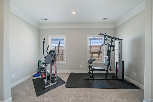 workout area featuring carpet, visible vents, baseboards, and ornamental molding