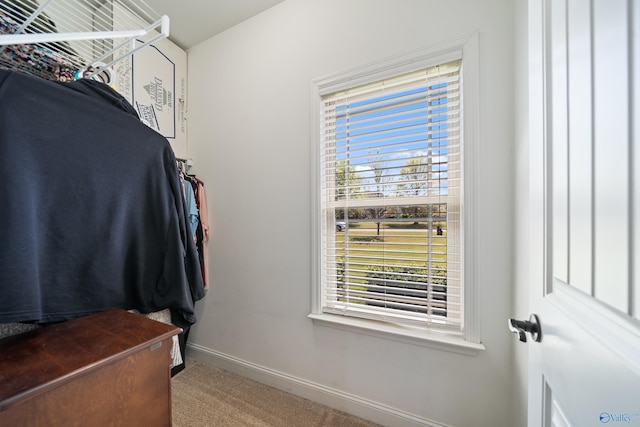walk in closet with carpet