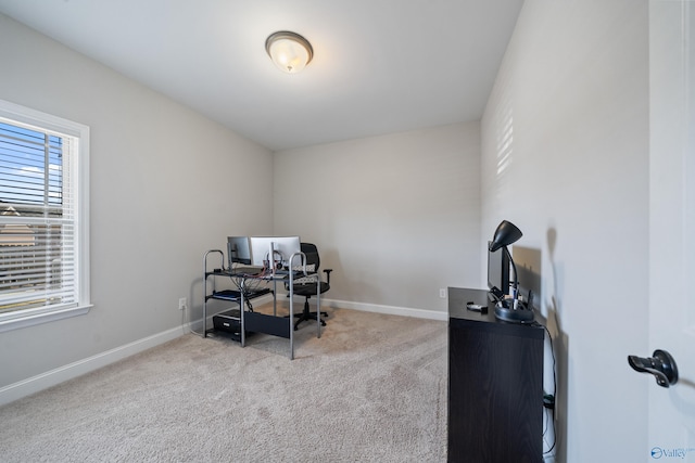 carpeted office with a wealth of natural light and baseboards