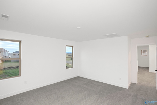 spare room with a wealth of natural light and light colored carpet