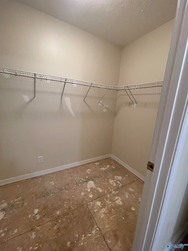 view of walk in closet