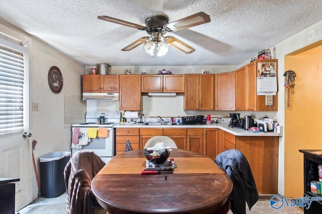 kitchen with ceiling fan, sink, electric stove, and a textured ceiling