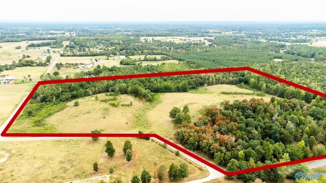 1591 County Road 296, Hillsboro AL, 35643 land for sale