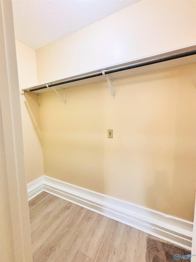 spacious closet featuring light wood finished floors
