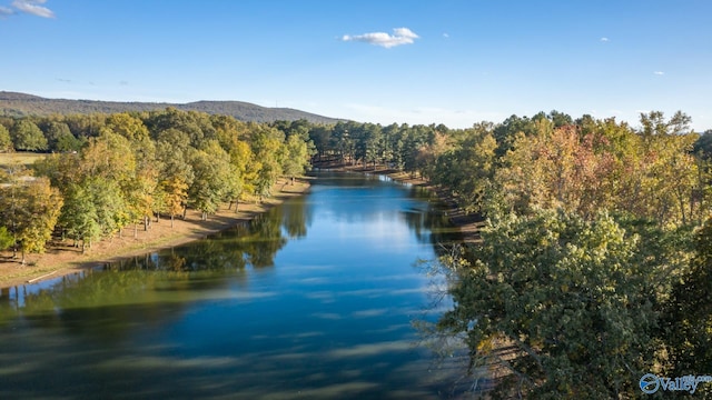 property view of water with a mountain view and a view of trees