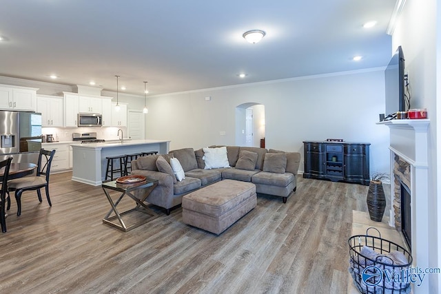 living room with light wood-type flooring, a stone fireplace, crown molding, and sink