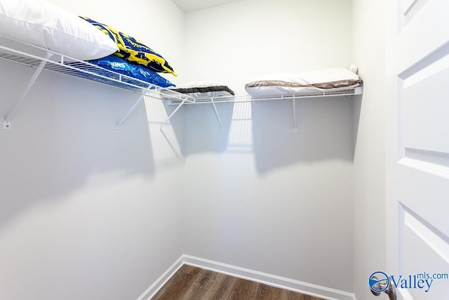 spacious closet with dark wood-type flooring