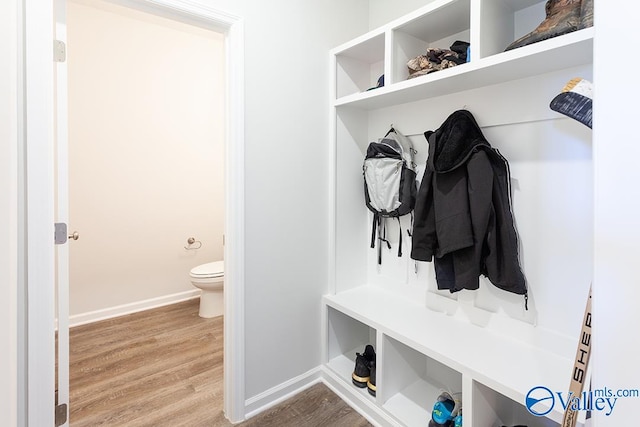 mudroom featuring hardwood / wood-style floors