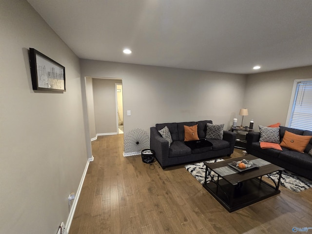 living room featuring hardwood / wood-style floors