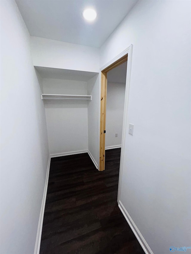 walk in closet with dark hardwood / wood-style flooring