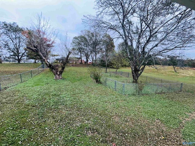 view of yard with a rural view