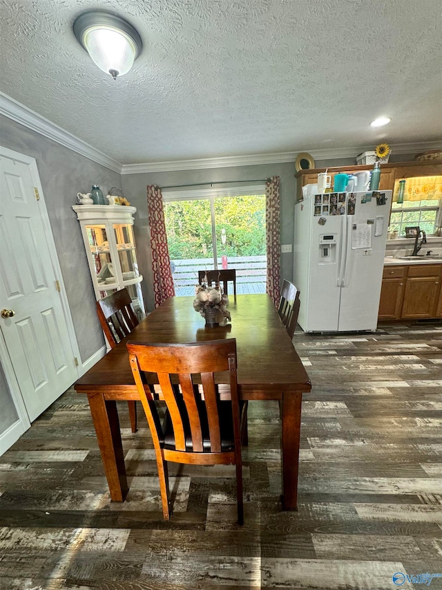 dining area featuring a textured ceiling, dark wood-type flooring, a healthy amount of sunlight, and ornamental molding