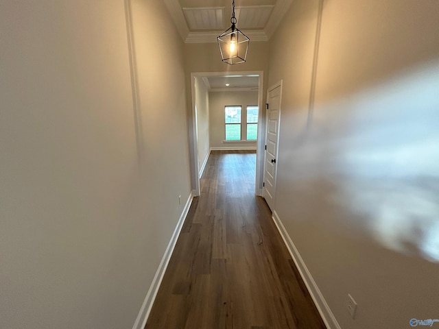 hallway with crown molding and dark hardwood / wood-style flooring