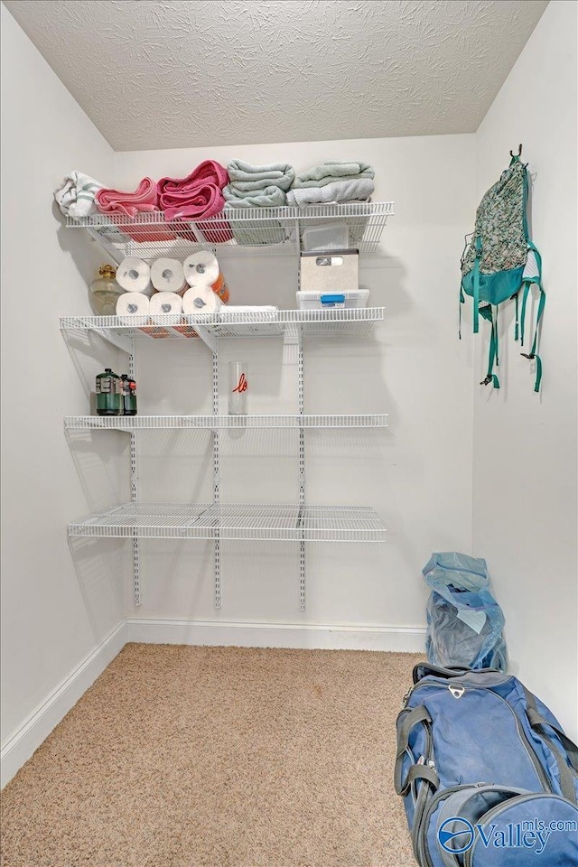 23311 Toone Rd, Elkmont, AL 35620 - view of storage room