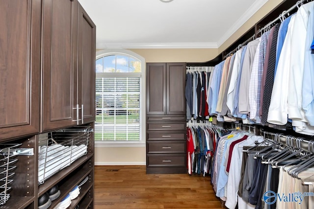 walk in closet with wood finished floors