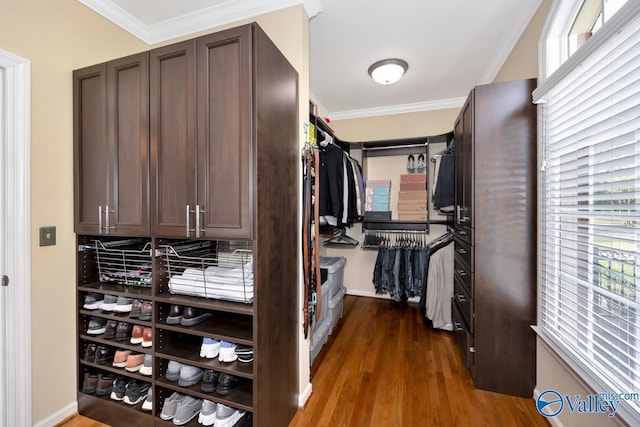 walk in closet with dark wood-style floors