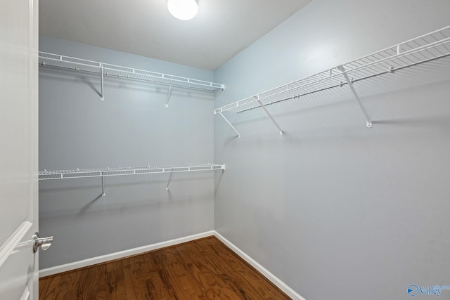 spacious closet with wood-type flooring