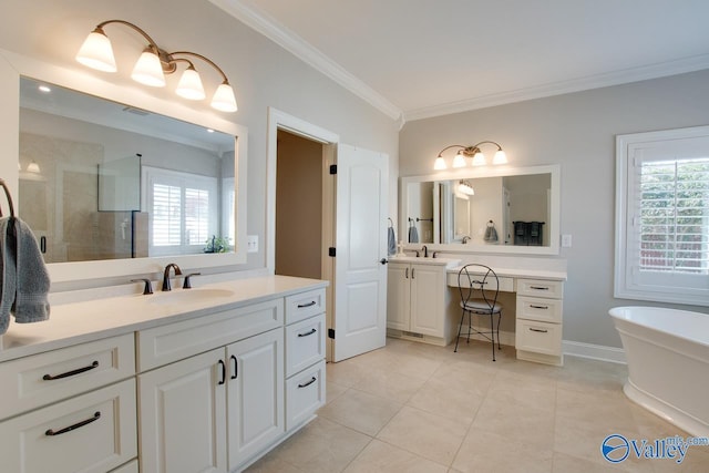 bathroom with crown molding, a wealth of natural light, a sink, and a shower stall