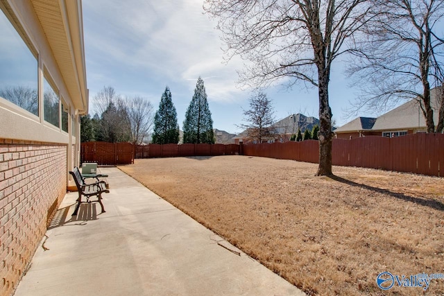 view of yard with central air condition unit, a patio area, and a fenced backyard