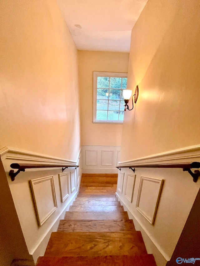 staircase with hardwood / wood-style flooring