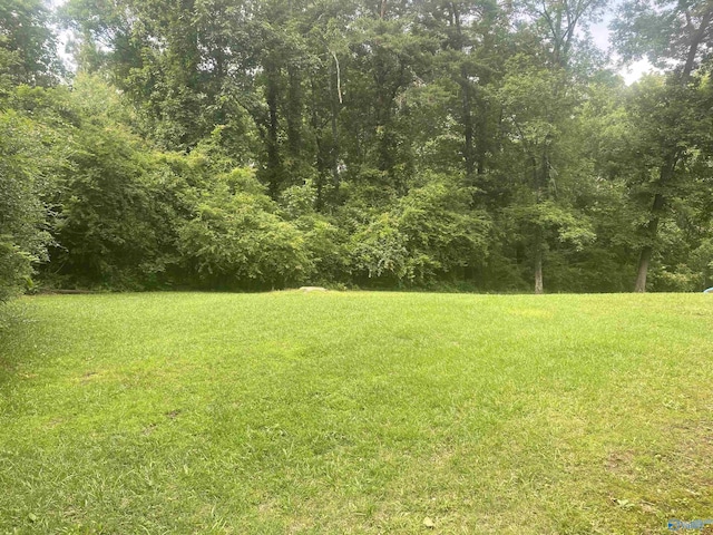 216 Carol Ave, Gadsden, AL 35904 - view of green lawn featuring a view of trees