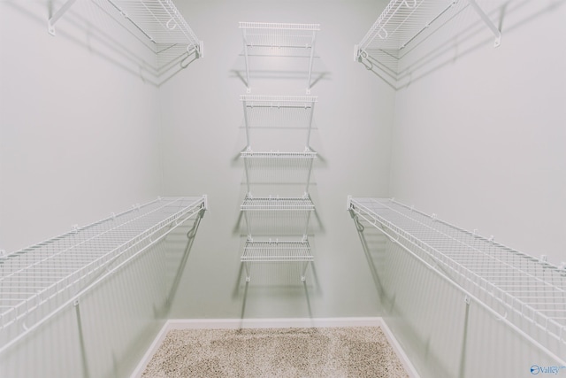 view of walk in closet