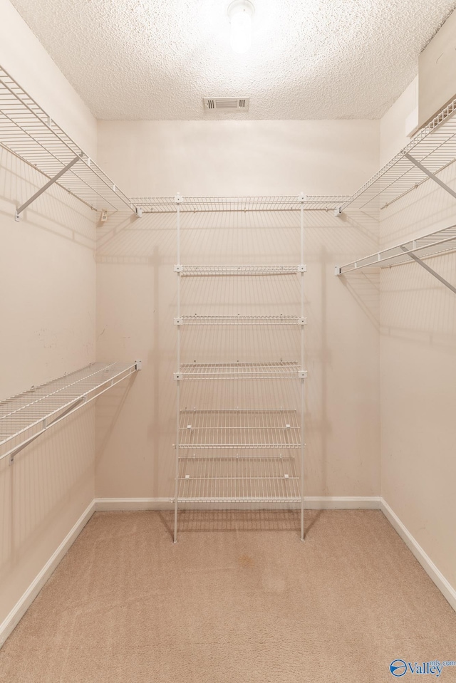 walk in closet with carpet