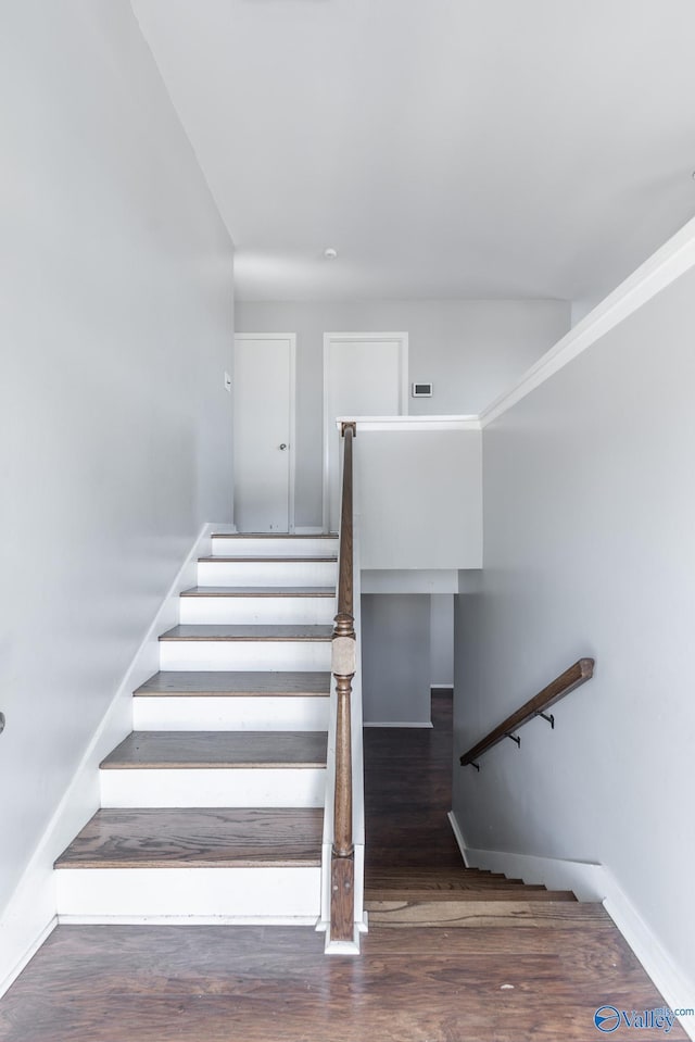 staircase with wood-type flooring