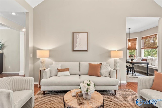 living room with hardwood / wood-style flooring and lofted ceiling